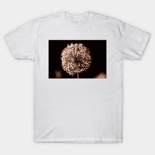 Close-up of  Allium Flower 1 T-Shirt